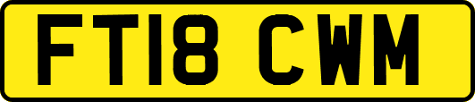 FT18CWM