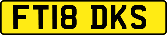 FT18DKS