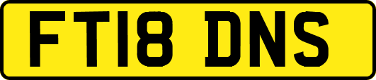 FT18DNS