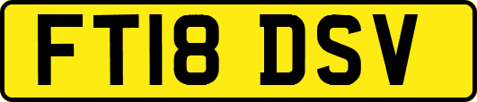 FT18DSV