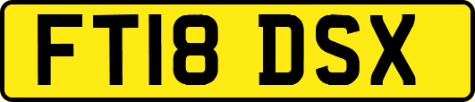 FT18DSX