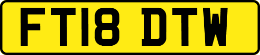 FT18DTW