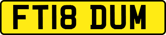 FT18DUM
