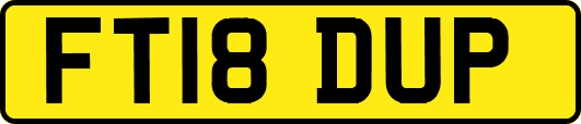FT18DUP