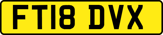FT18DVX