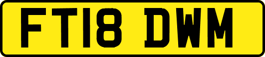FT18DWM
