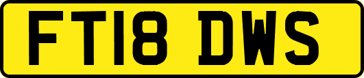FT18DWS