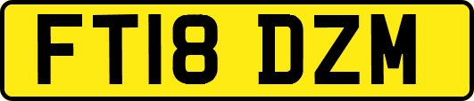 FT18DZM