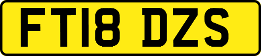 FT18DZS