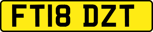 FT18DZT