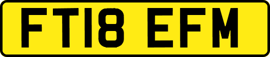 FT18EFM