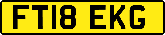 FT18EKG