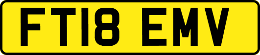 FT18EMV