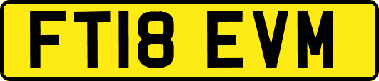 FT18EVM