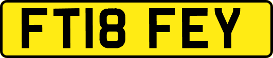 FT18FEY