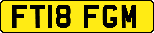 FT18FGM