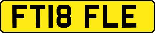 FT18FLE