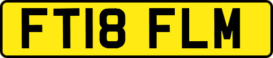 FT18FLM