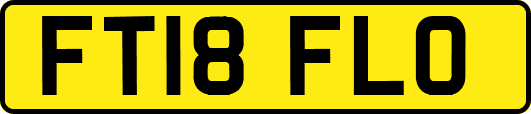 FT18FLO