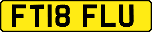 FT18FLU
