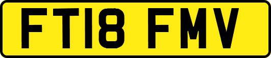 FT18FMV