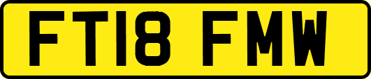 FT18FMW