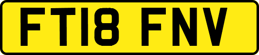FT18FNV
