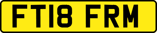 FT18FRM