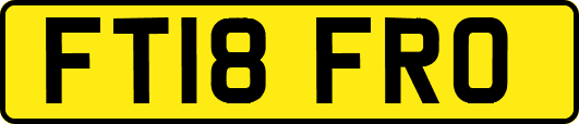 FT18FRO