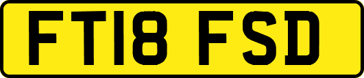FT18FSD