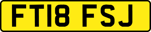 FT18FSJ