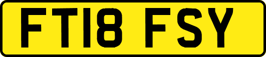 FT18FSY