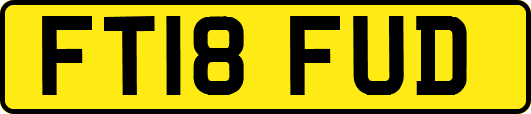 FT18FUD