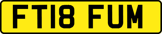 FT18FUM