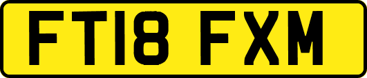 FT18FXM