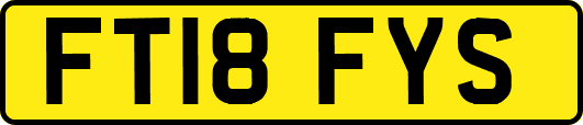 FT18FYS