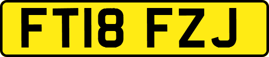 FT18FZJ