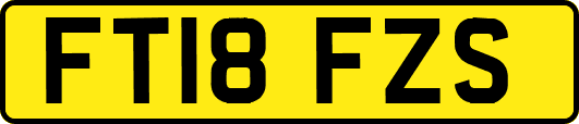 FT18FZS