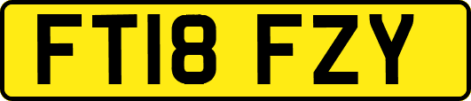 FT18FZY