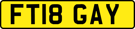 FT18GAY