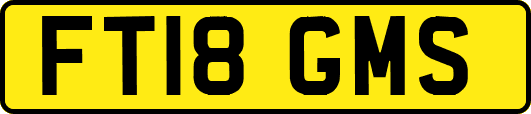 FT18GMS