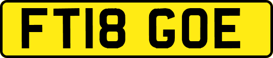 FT18GOE