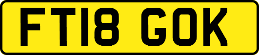 FT18GOK