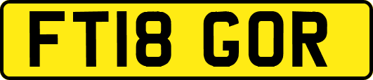 FT18GOR