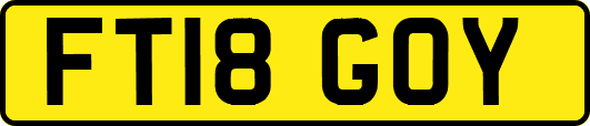 FT18GOY