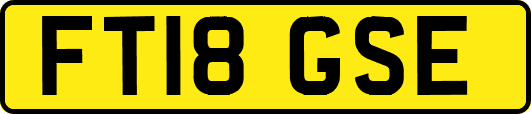 FT18GSE