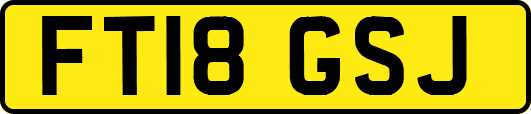 FT18GSJ