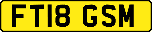 FT18GSM