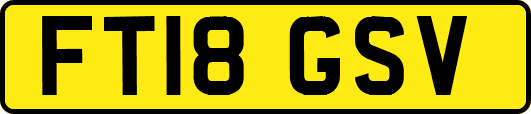FT18GSV