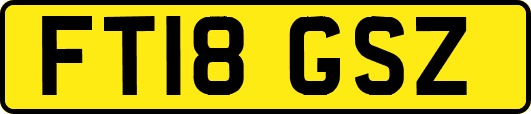 FT18GSZ